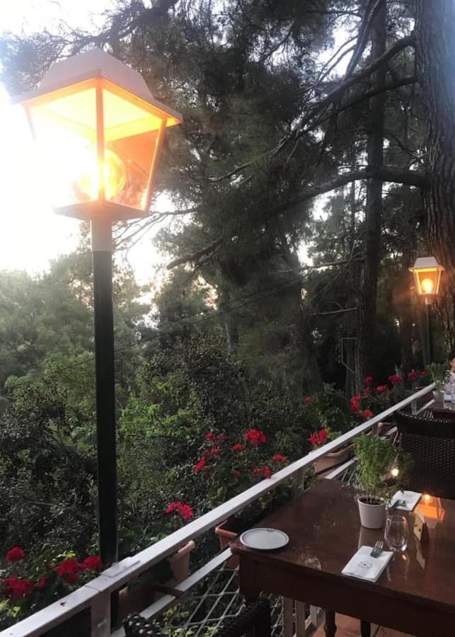 New Helvetia Hotel Platres Zewnętrze zdjęcie